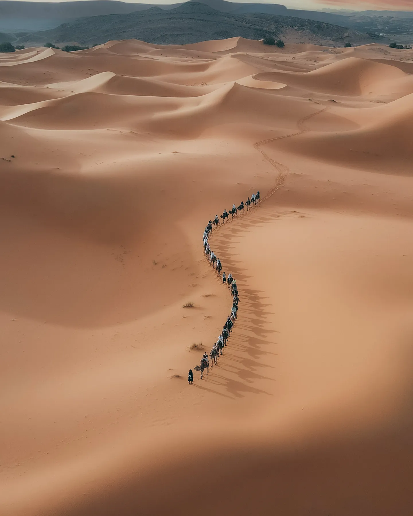 A camel caravan winding across the dunes, seen from above