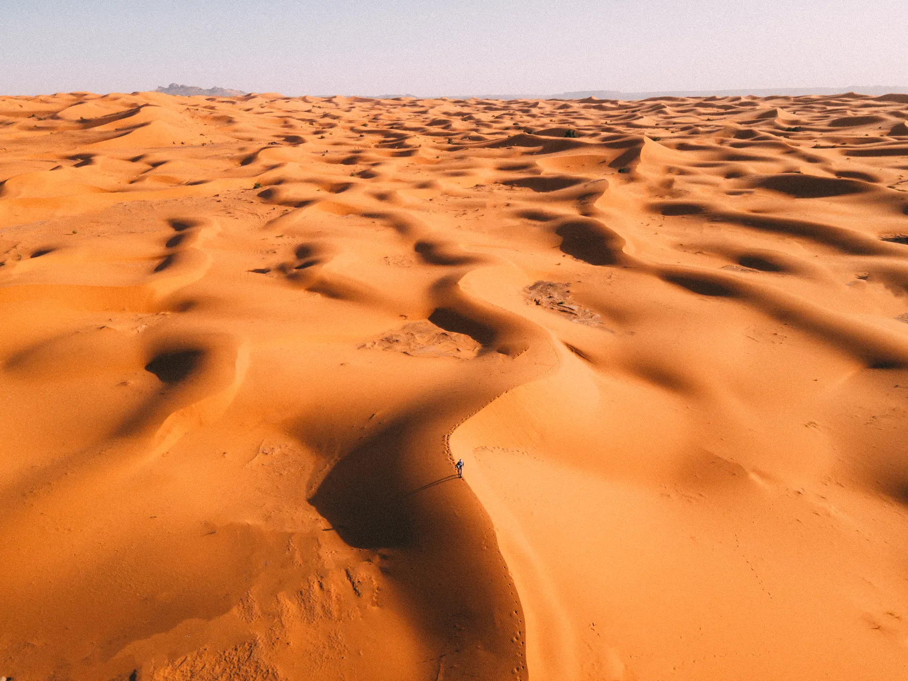 An ocean of orange dunes in the Sahara, seen from above