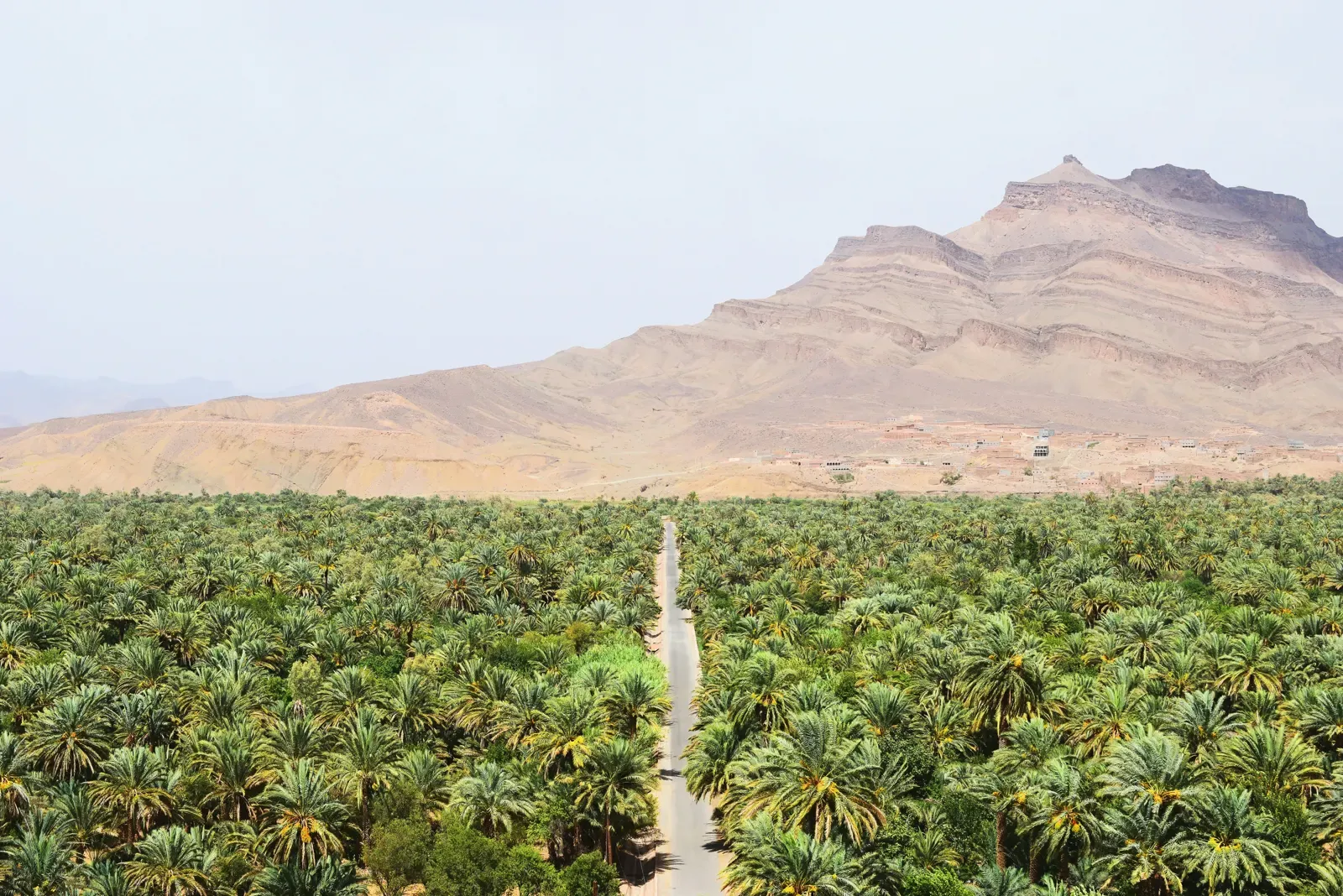 Palm groves of the Draa Valley below dry mountains