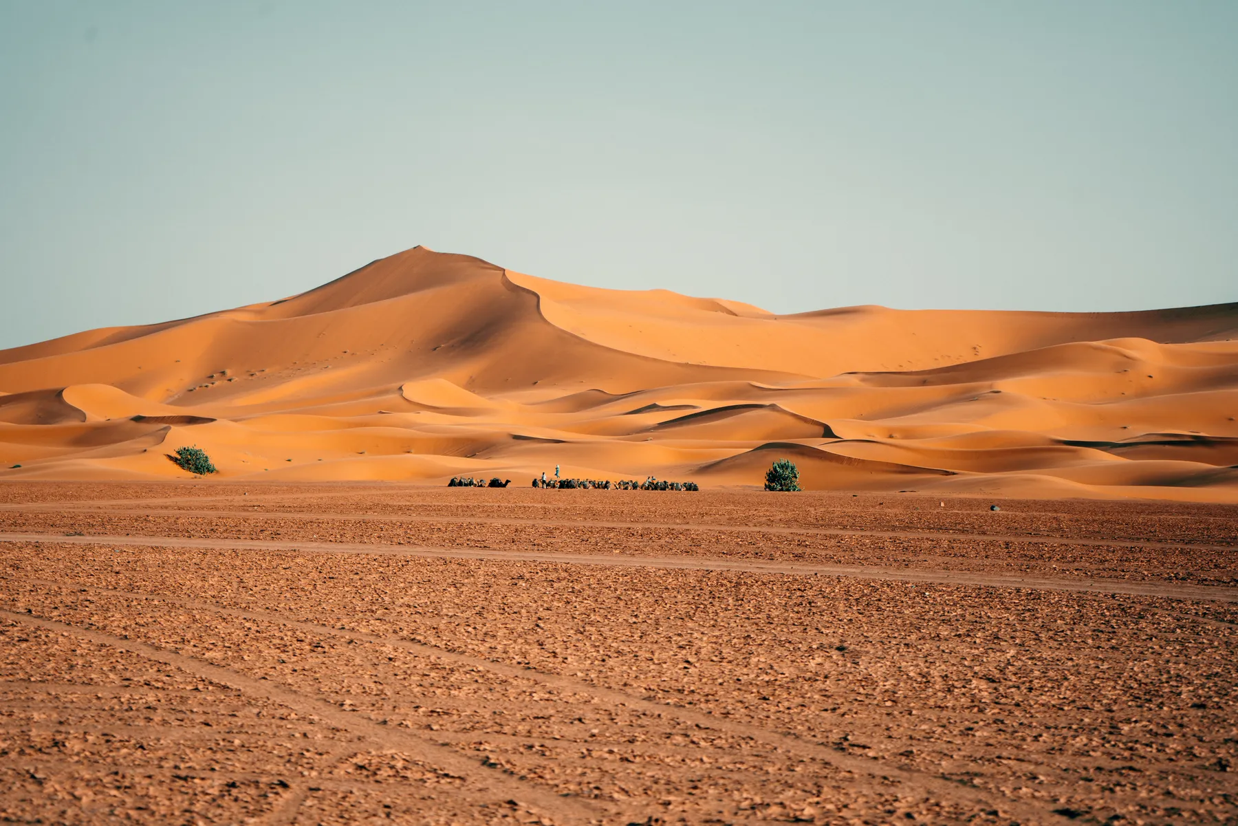 The tall dunes of Erg Chebbi rising behind the desert plain