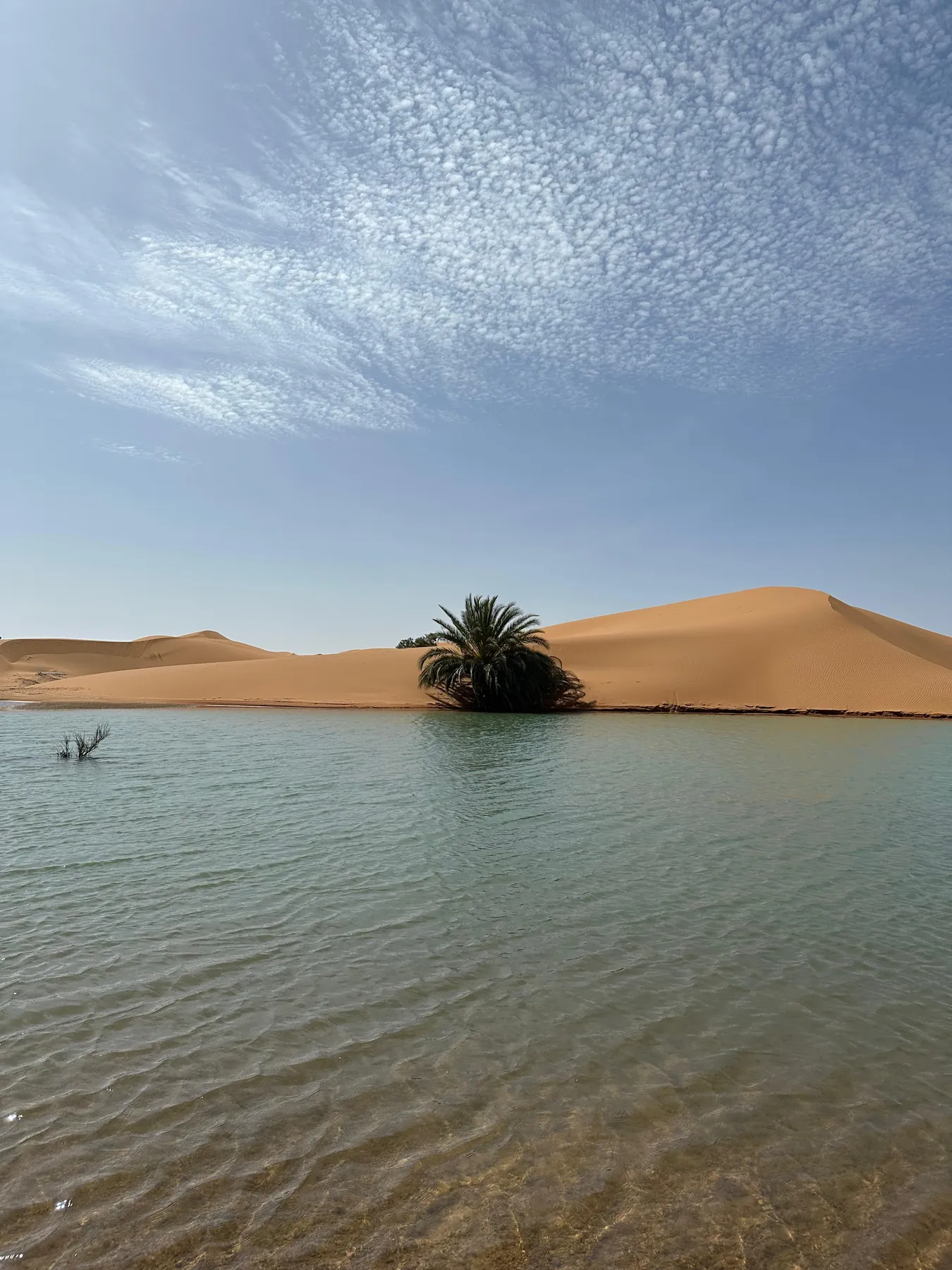 The dunes of Merzouga reflected in a desert lake after rain